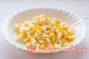 ����� �������� ������ | ����� � �����