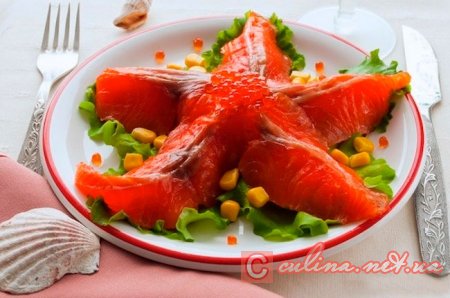����� �������� ������ | ����� � �����