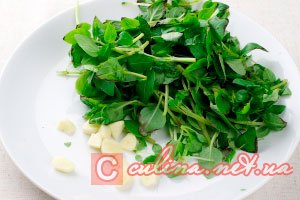 ���� - ����� ������ | ������