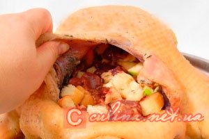 ���� � �������� | ����������� ������ � ����