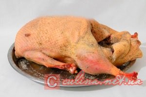 ���� � �������� | ����������� ������ � ����