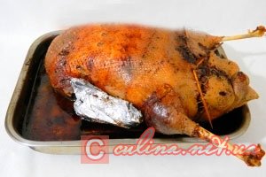 ���� � �������� | ����������� ������ � ����
