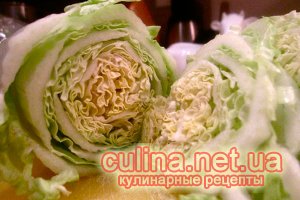 ������ ������ �� ��������� ������� | ������  � ������