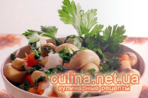 ������ �� ������ ���� | ������� ������ | ���-20