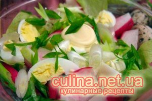 ������ �� ������ ���� | ������� ������ | ���-20
