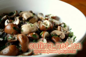������ �� ������ ���� | ������� ������ | ���-20