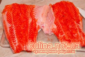 ���� �� | ��������� ������ ������ � ����