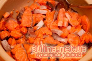 ���� �� | ��������� ������ ������ � ����
