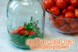 ��������  ���������������� | ������ � ����