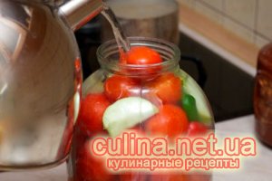 ��������  ���������������� | ������ � ����