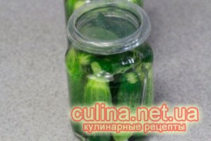 ������� ������ | ������ � ����