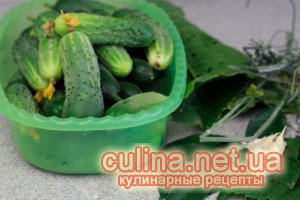������� ������ | ������ � ����