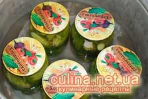 ������������ ������ | ������ � ����