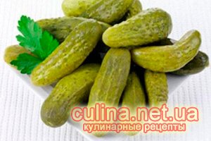 ������������ ������ | ������ � ����