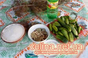 ������������ ������ | ������ � ����