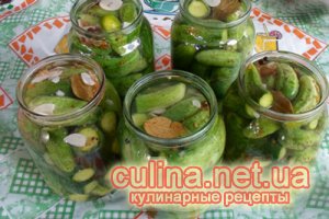 ������������ ������ | ������ � ����