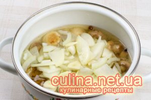 ������ ������������ ���������� | ������ � ����