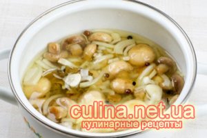 ������ ������������ ���������� | ������ � ����