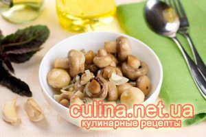 ������ ������������ ���������� | ������ � ����