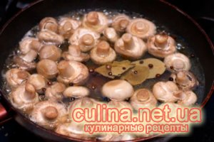 ������ ������������ ���������� | ������ � ����