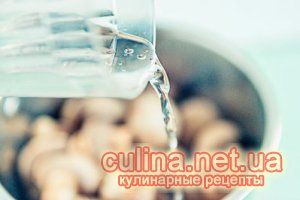������������ ���������� | ������� ������ �  ����