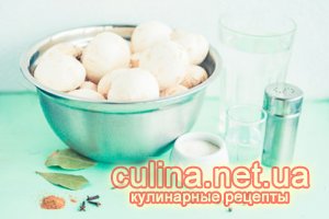 ������������ ���������� | ������� ������ �  ����