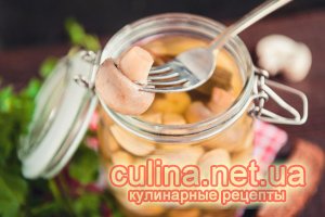 ������������ ���������� | ������� ������ �  ����