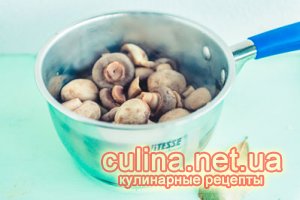 ������������ ���������� | ������� ������ �  ����