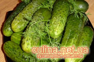 ����������� ������ ������ | ��������� �������� ���� ������