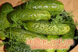 ����������� ������ ������ | ��������� �������� ���� ������