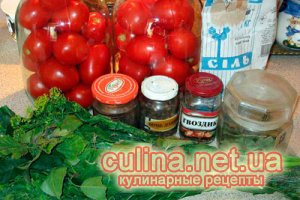 �������� ��������  | ������ � ����