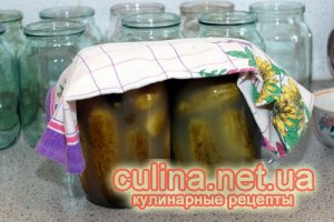 �������� ������ |  ������ � ����