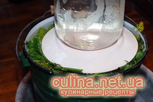 �������� ������ |  ������ � ����