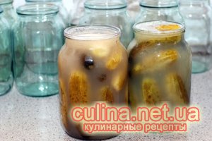 �������� ������ |  ������ � ����