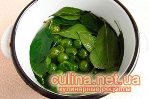 ������� �� ���������� | ������ � ����