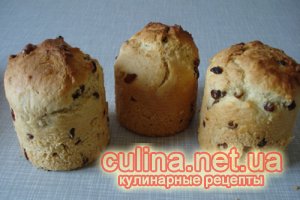 ���������� ����� � ������ � ������� � ������ � ����