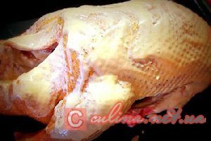 ���� � �������� � �����������  � ��������� ������ � ����