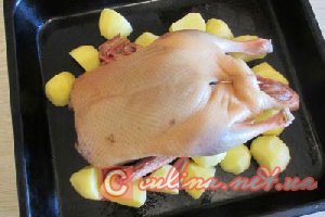 ���� � ������� � ��������� ��������