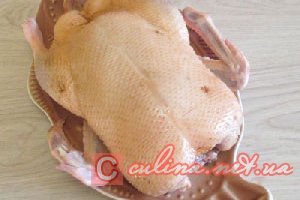 ���� � ������� � ��������� ��������