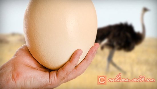 ������� ������ ���������� ����?