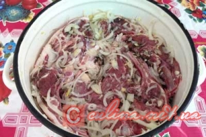������ �� �������� �������� | ������ �� ��������