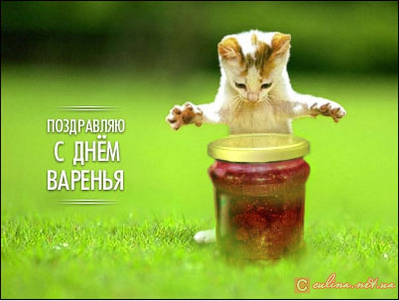 ��� ����������� ������� ������������ � ��������
