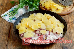������� � ���������� � ������� / Culina.net.ua � ��������� ������ � ����